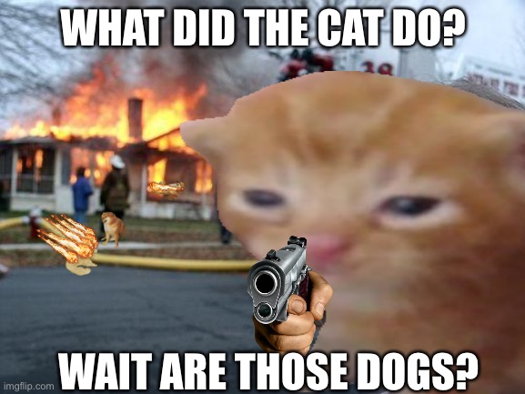 Kitty Imgflip