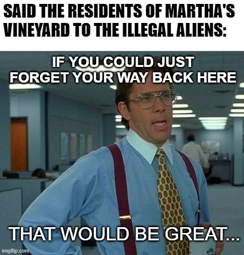 What Do You Say To Illegal Aliens If You're Really A Hypocrite? | SAID THE RESIDENTS OF MARTHA'S VINEYARD TO THE ILLEGAL ALIENS:; IF YOU COULD JUST FORGET YOUR WAY BACK HERE; THAT WOULD BE GREAT... | image tagged in memes,that would be great,illegal aliens,deportation,hypocrisy,leftists | made w/ Imgflip meme maker