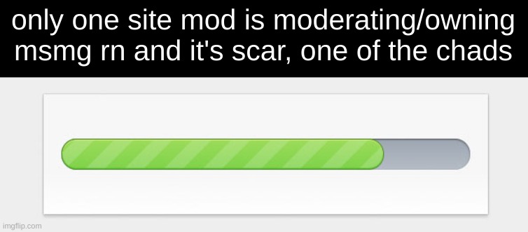 PROGRESS BOIS | only one site mod is moderating/owning msmg rn and it's scar, one of the chads | image tagged in progress bar | made w/ Imgflip meme maker