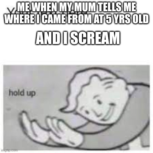 hol up | ME WHEN MY MUM TELLS ME WHERE I CAME FROM AT 5 YRS OLD; AND I SCREAM | image tagged in funny memes | made w/ Imgflip meme maker