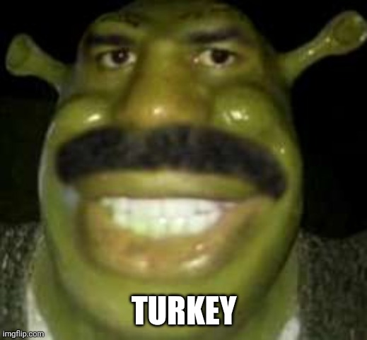Bad meme Friday | TURKEY | image tagged in eww,badmeme | made w/ Imgflip meme maker