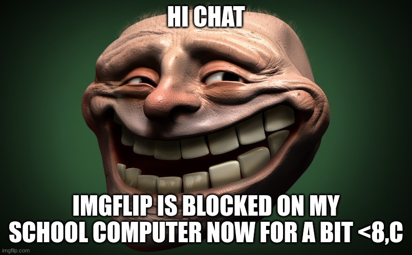 realistic troll face | HI CHAT; IMGFLIP IS BLOCKED ON MY SCHOOL COMPUTER NOW FOR A BIT <8,C | image tagged in realistic troll face | made w/ Imgflip meme maker