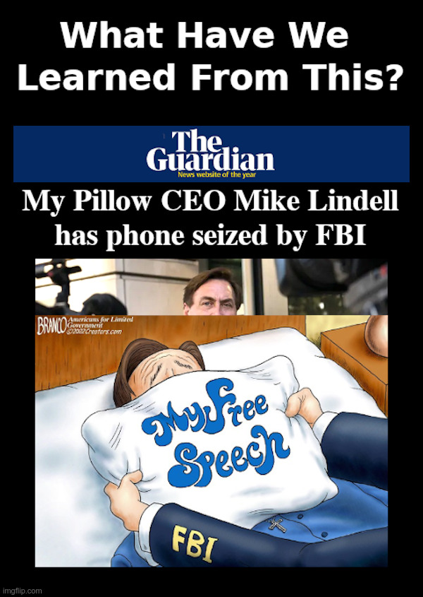 What Have We Learned From This? | image tagged in mike lindell,my pillow,hardees,joe biden,fbi,gestapo | made w/ Imgflip meme maker