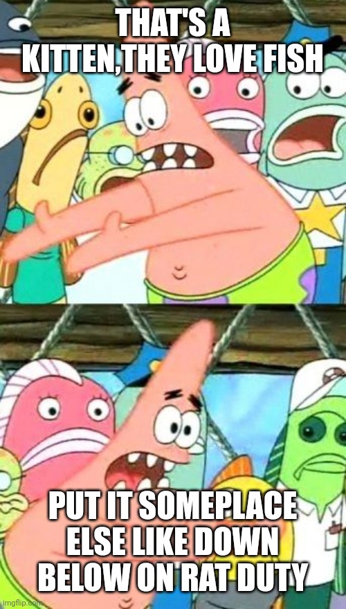 Put It Somewhere Else Patrick | THAT'S A KITTEN,THEY LOVE FISH; PUT IT SOMEPLACE ELSE LIKE DOWN BELOW ON RAT DUTY | image tagged in memes,put it somewhere else patrick | made w/ Imgflip meme maker