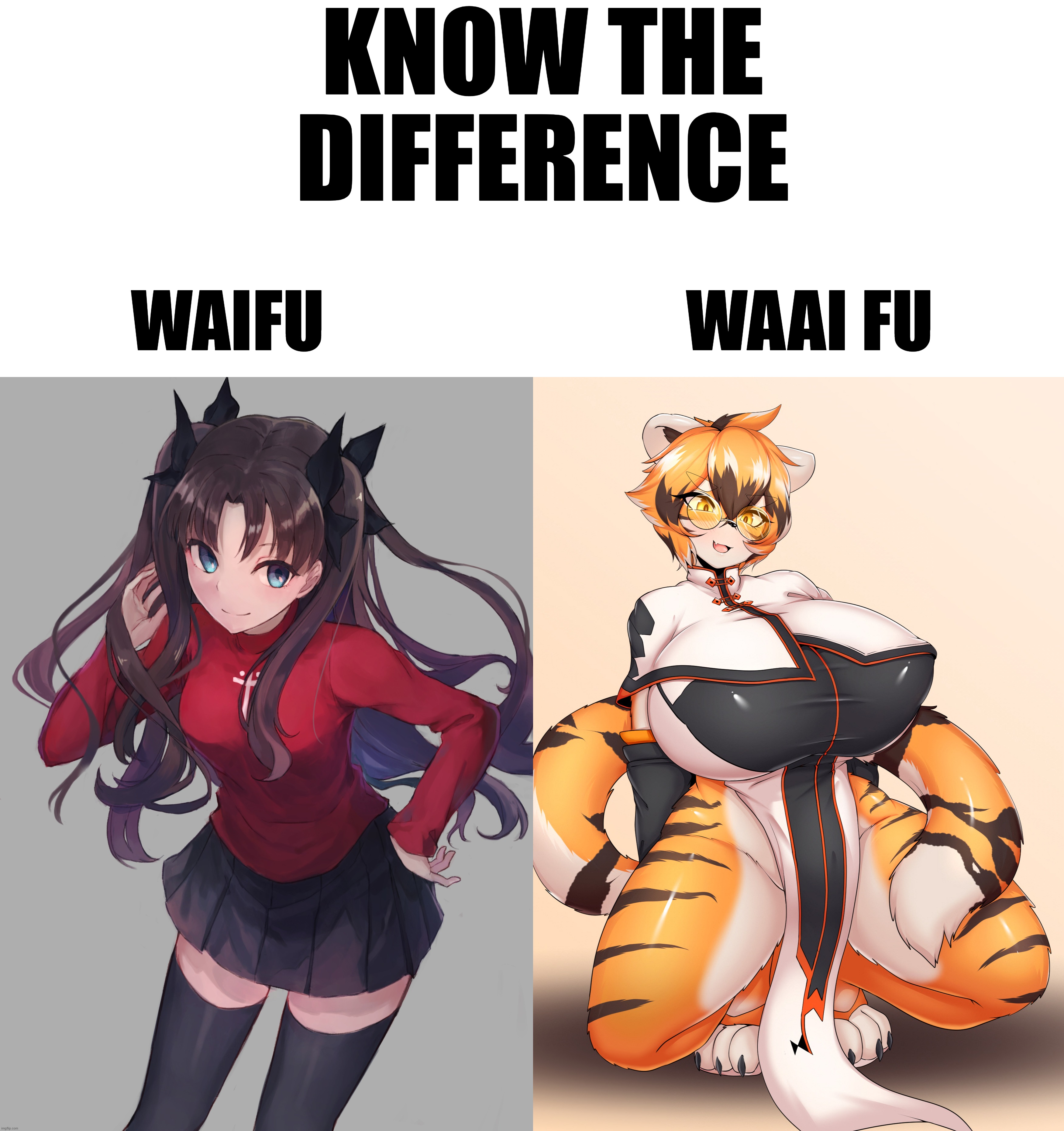 I am not joking, The character on the right's name is literally "Waai Fu". xD | KNOW THE DIFFERENCE; WAIFU                           WAAI FU | image tagged in memes,funny,furry,fate,arknights,waifu | made w/ Imgflip meme maker