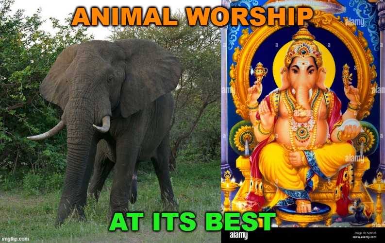 animal worship at its best | ANIMAL WORSHIP; AT ITS BEST | image tagged in worship nature | made w/ Imgflip meme maker