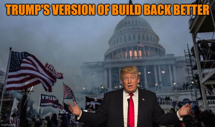 Failure after failure after failure | TRUMP'S VERSION OF BUILD BACK BETTER | image tagged in misconstrued coup | made w/ Imgflip meme maker