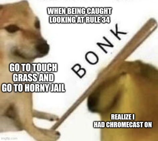 GO TO HORNY JAIL NOW.... | WHEN BEING CAUGHT LOOKING AT RULE 34; GO TO TOUCH GRASS AND GO TO HORNY JAIL; REALIZE I HAD CHROMECAST ON | image tagged in bonk | made w/ Imgflip meme maker