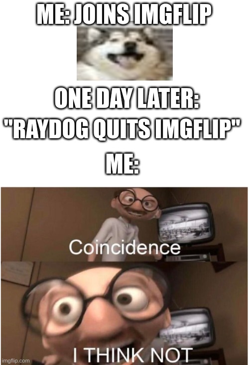 no cap | ME: JOINS IMGFLIP; ONE DAY LATER:; "RAYDOG QUITS IMGFLIP"; ME: | image tagged in blank white template,coincidence i think not,fun,funny,fun memes,raydog | made w/ Imgflip meme maker