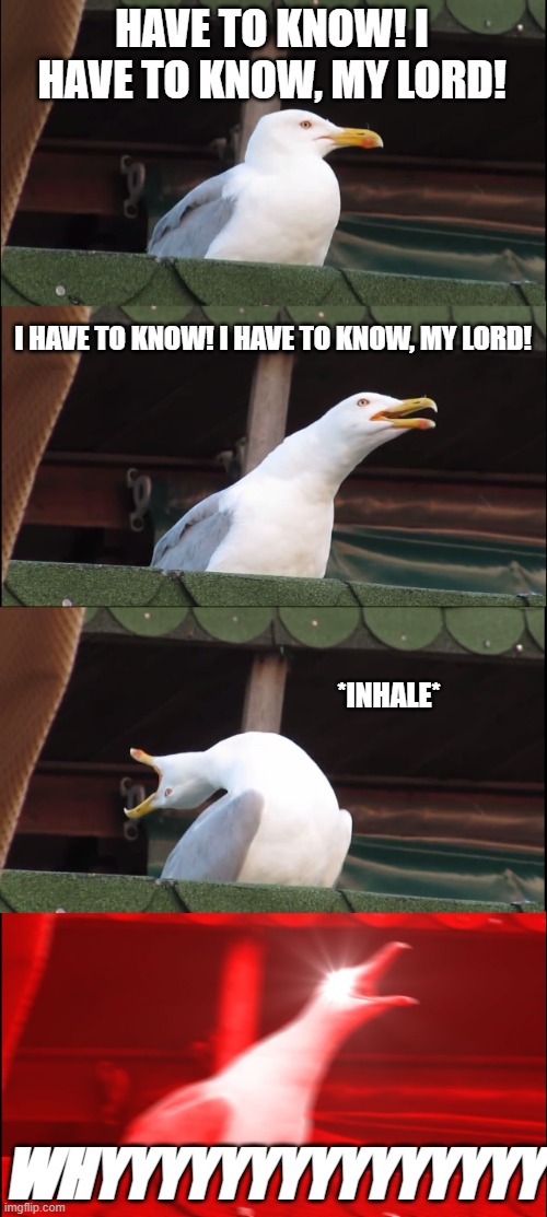 I only want to say... (Seagull sings Gethsemane) | HAVE TO KNOW! I HAVE TO KNOW, MY LORD! I HAVE TO KNOW! I HAVE TO KNOW, MY LORD! *INHALE*; WHYYYYYYYYYYYYYYY | image tagged in memes,inhaling seagull | made w/ Imgflip meme maker