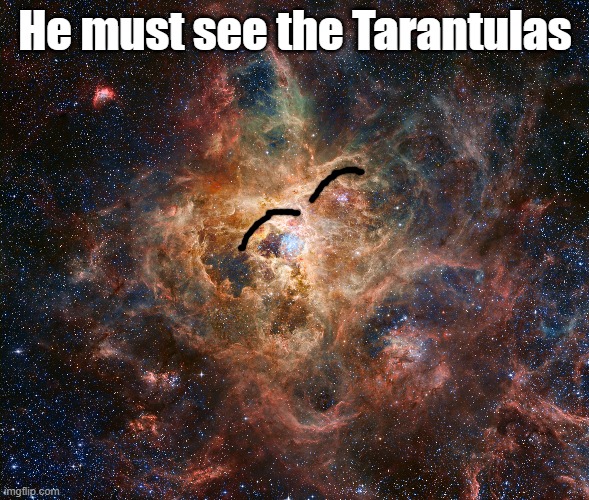 He must see the Tarantulas | made w/ Imgflip meme maker