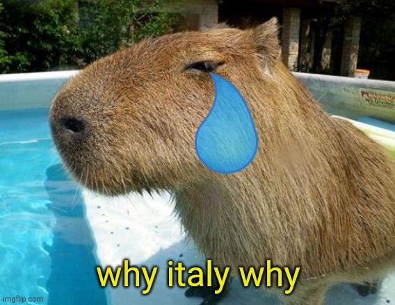 Side Eye Capybara | why italy why | image tagged in side eye capybara | made w/ Imgflip meme maker