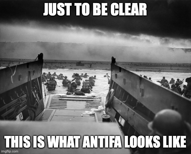 Antifa | JUST TO BE CLEAR; THIS IS WHAT ANTIFA LOOKS LIKE | image tagged in original antifa | made w/ Imgflip meme maker