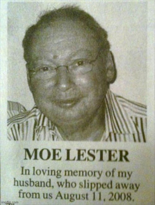 Moelester | made w/ Imgflip meme maker