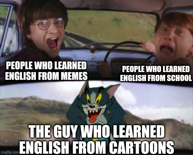 People who learned English |  PEOPLE WHO LEARNED ENGLISH FROM MEMES; PEOPLE WHO LEARNED ENGLISH FROM SCHOOL; THE GUY WHO LEARNED ENGLISH FROM CARTOONS | image tagged in tom chasing harry and ron weasly,english,memes,funny,cartoons,cartoon | made w/ Imgflip meme maker