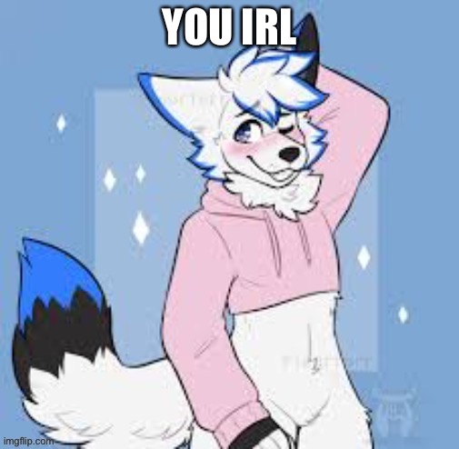 Femboy furry | YOU IRL | image tagged in femboy furry | made w/ Imgflip meme maker