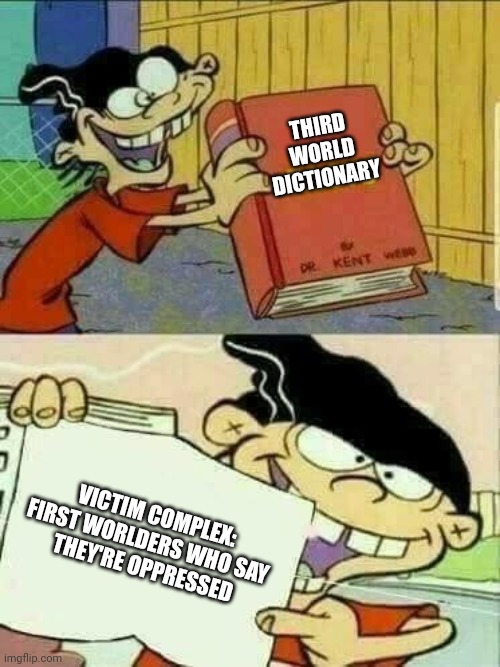 Double d facts book  | THIRD WORLD DICTIONARY VICTIM COMPLEX:
FIRST WORLDERS WHO SAY 

THEY'RE OPPRESSED | image tagged in double d facts book | made w/ Imgflip meme maker