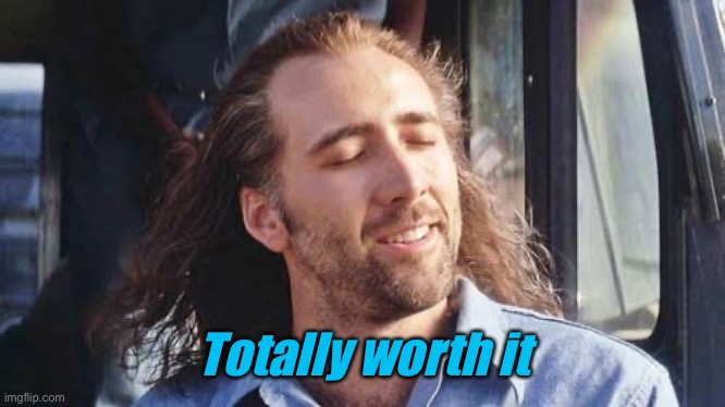 Totally worth it | Totally worth it | image tagged in totally worth it | made w/ Imgflip meme maker