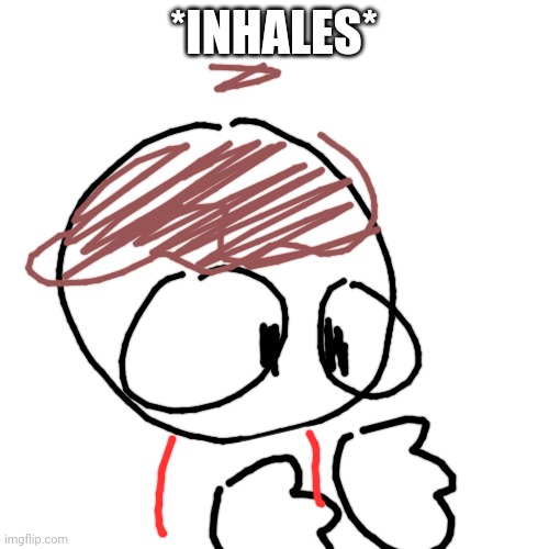Blank (square) | *INHALES* | image tagged in blank square | made w/ Imgflip meme maker