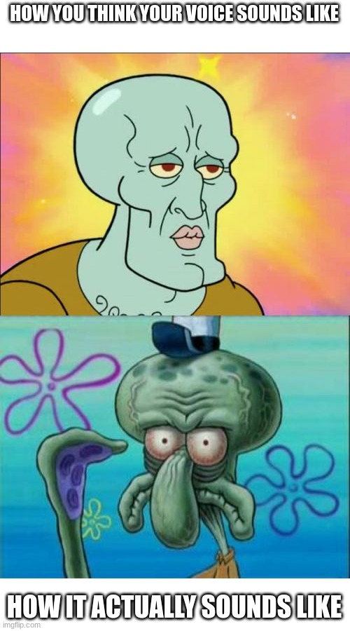 No,My Voice | HOW YOU THINK YOUR VOICE SOUNDS LIKE; HOW IT ACTUALLY SOUNDS LIKE | image tagged in memes,squidward | made w/ Imgflip meme maker