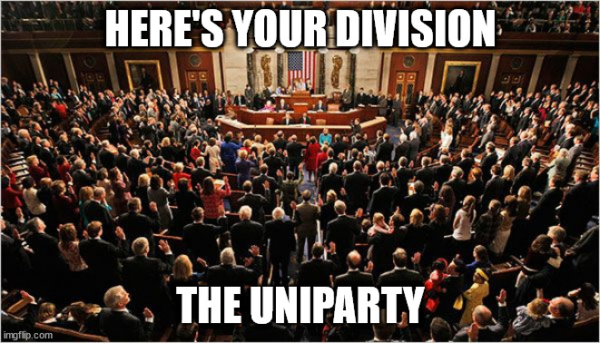 Division | HERE'S YOUR DIVISION; THE UNIPARTY | image tagged in congress | made w/ Imgflip meme maker