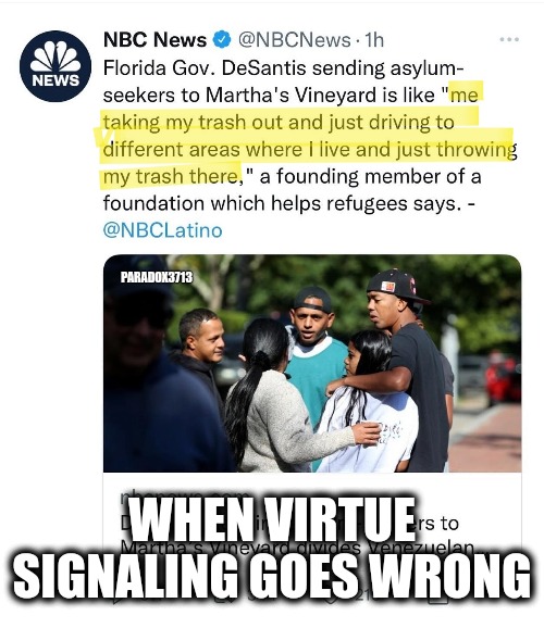 Tell us without telling us, how you truly feel. | PARADOX3713; WHEN VIRTUE SIGNALING GOES WRONG | image tagged in memes,politics,elitist,illegal immigration,racism,democrats | made w/ Imgflip meme maker