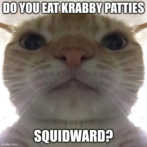 krabby patties | DO YOU EAT KRABBY PATTIES; SQUIDWARD? | image tagged in oof | made w/ Imgflip meme maker