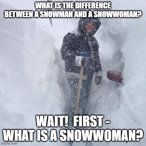 Is It Me, Or Is It Getting Cold In Here? | WHAT IS THE DIFFERENCE BETWEEN A SNOWMAN AND A SNOWWOMAN? WAIT!  FIRST - WHAT IS A SNOWWOMAN? | image tagged in snow,memes,snowman,snowwoman,what is a woman,humor | made w/ Imgflip meme maker