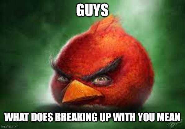 Realistic Red Angry Birds | GUYS WHAT DOES BREAKING UP WITH YOU MEAN | image tagged in realistic red angry birds | made w/ Imgflip meme maker