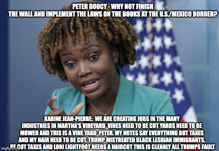 Karine the idiot - rohb/rupe | PETER DOOCY - WHY NOT FINISH THE WALL AND IMPLEMENT THE LAWS ON THE BOOKS AT THE U.S./MEXICO BORDER? KARINE JEAN-PIERRE:  WE ARE CREATING JOBS IN THE MANY INDUSTRIES IN MARTHA'S VINEYARD  VINES NEED TO BE CUT YARDS NEED TO BE MOWED AND THIS IS A VINE YARD  PETER. MY NOTES SAY EVERYTHING BUT TAXES AND MY HAIR NEED TO BE CUT. TRUMP MISTREATED BLACK LESBIAN IMMIGRANTS,  HE CUT TAXES AND LORI LIGHTFOOT NEEDS A HAIRCUT THIS IS CLEARLY ALL TRUMPS FAULT | image tagged in press secretary karine jean-pierre | made w/ Imgflip meme maker