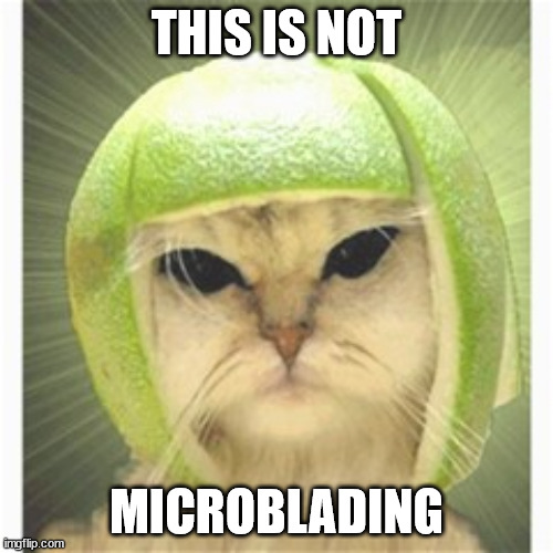 melon cat | THIS IS NOT; MICROBLADING | image tagged in melon cat | made w/ Imgflip meme maker