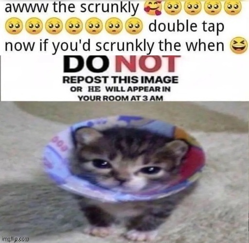 A repost | made w/ Imgflip meme maker