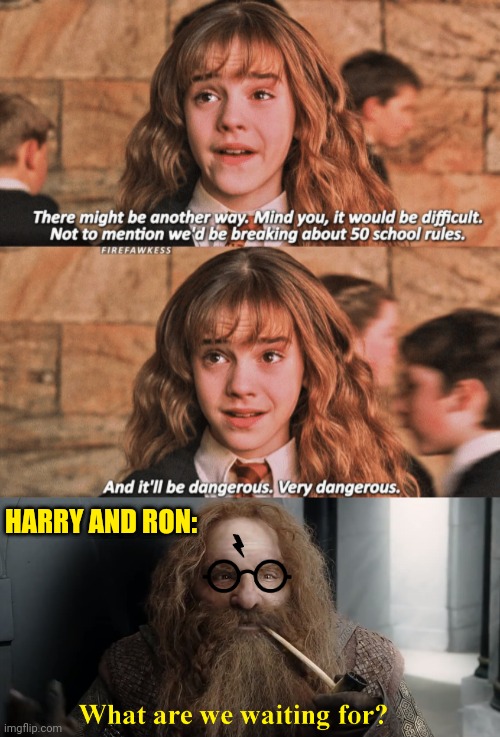 LET'S DO IT! | HARRY AND RON: | image tagged in what are we waiting for,harry potter,harry potter meme,hermione granger,lotr | made w/ Imgflip meme maker