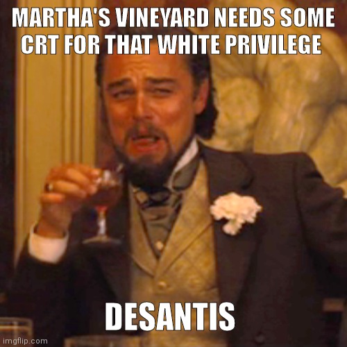 All are welcome here. | MARTHA'S VINEYARD NEEDS SOME CRT FOR THAT WHITE PRIVILEGE; DESANTIS | image tagged in memes,laughing leo | made w/ Imgflip meme maker