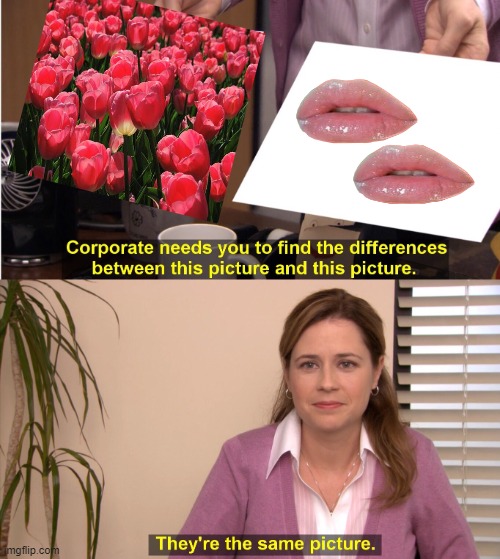 They Are The Same, And Yet They Aren't | image tagged in memes,they're the same picture,tulips,two lips,humor,funny | made w/ Imgflip meme maker