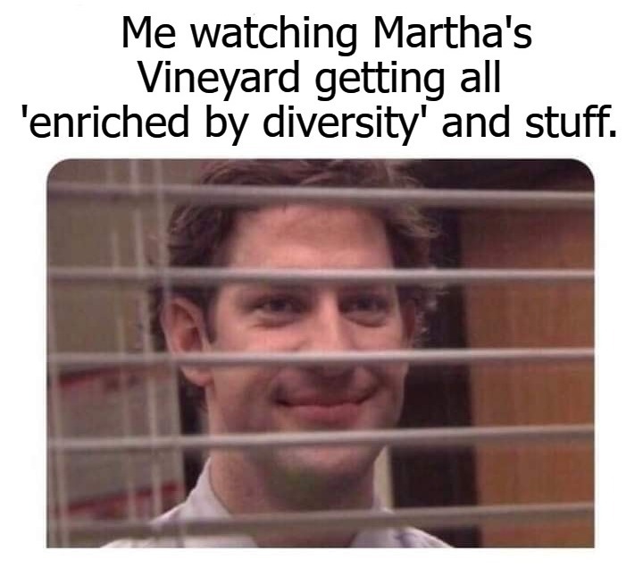 Me watching Martha's Vineyard getting all enriched by diversity and shit. | image tagged in diversity,marthas vineyard,liberal hypocrisy,hypocrites,triggered liberal | made w/ Imgflip meme maker