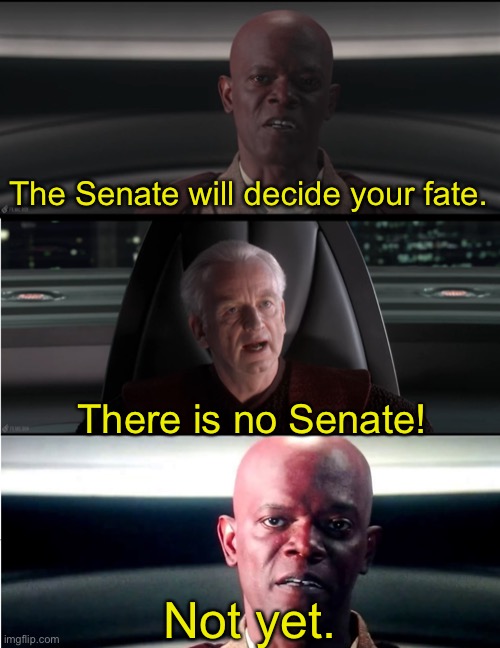 Senate abolition meme | The Senate will decide your fate. There is no Senate! Not yet. | made w/ Imgflip meme maker