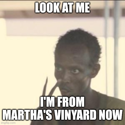 FL making daytraders | LOOK AT ME; I'M FROM MARTHA'S VINYARD NOW | image tagged in memes,look at me | made w/ Imgflip meme maker