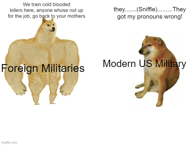 Pronoun Military | they.......(Sniffle).........They got my pronouns wrong! We train cold blooded killers here, anyone whose not up for the job, go back to your mothers; Modern US Military; Foreign Militaries | image tagged in memes,buff doge vs cheems | made w/ Imgflip meme maker