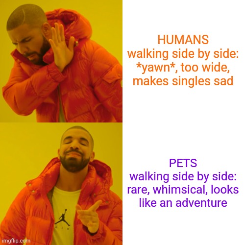Pet walking, so hot right now | HUMANS walking side by side:

*yawn*, too wide, makes singles sad; PETS
walking side by side:

rare, whimsical, looks like an adventure | image tagged in memes,drake hotline bling,pets,cute animals,feeling cute | made w/ Imgflip meme maker