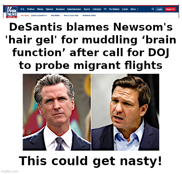 This Could Get Nasty! | image tagged in gavin newsom,ron desantis,illegal immigrants,open borders,marthas vineyard,hair gel | made w/ Imgflip meme maker