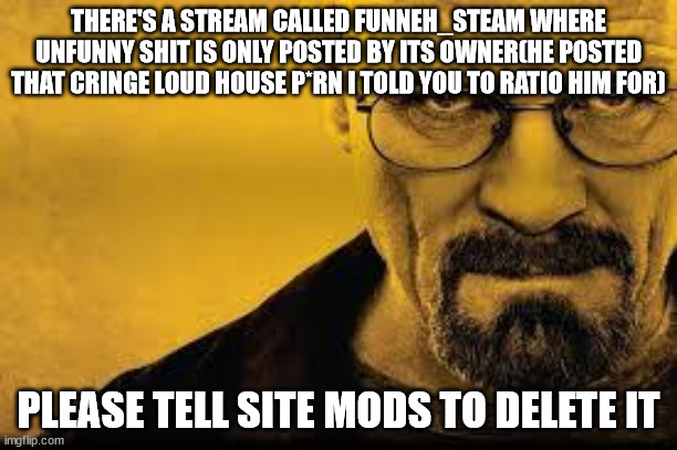 Heisenberg | THERE'S A STREAM CALLED FUNNEH_STEAM WHERE UNFUNNY SHIT IS ONLY POSTED BY ITS OWNER(HE POSTED THAT CRINGE LOUD HOUSE P*RN I TOLD YOU TO RATIO HIM FOR); PLEASE TELL SITE MODS TO DELETE IT | image tagged in heisenberg | made w/ Imgflip meme maker