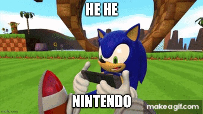 sonic | HE HE; NINTENDO | image tagged in nintendo switch | made w/ Imgflip meme maker