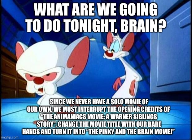 Let’s Fix The Movie Title, Pinky! | WHAT ARE WE GOING TO DO TONIGHT, BRAIN? SINCE WE NEVER HAVE A SOLO MOVIE OF OUR OWN, WE MUST INTERRUPT THE OPENING CREDITS OF 
“THE ANIMANIACS MOVIE: A WARNER SIBLINGS STORY”, CHANGE THE MOVIE TITLE WITH OUR BARE HANDS AND TURN IT INTO “THE PINKY AND THE BRAIN MOVIE!” | image tagged in pinky and the brain monday,pinky and the brain,movie,memes | made w/ Imgflip meme maker