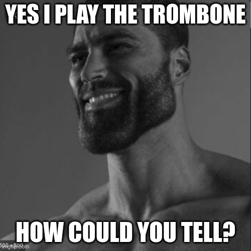 for band kids | YES I PLAY THE TROMBONE; HOW COULD YOU TELL? | image tagged in memes | made w/ Imgflip meme maker