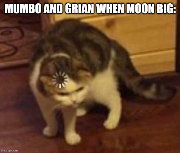 Moon B I G | MUMBO AND GRIAN WHEN MOON BIG: | image tagged in thinking cat | made w/ Imgflip meme maker