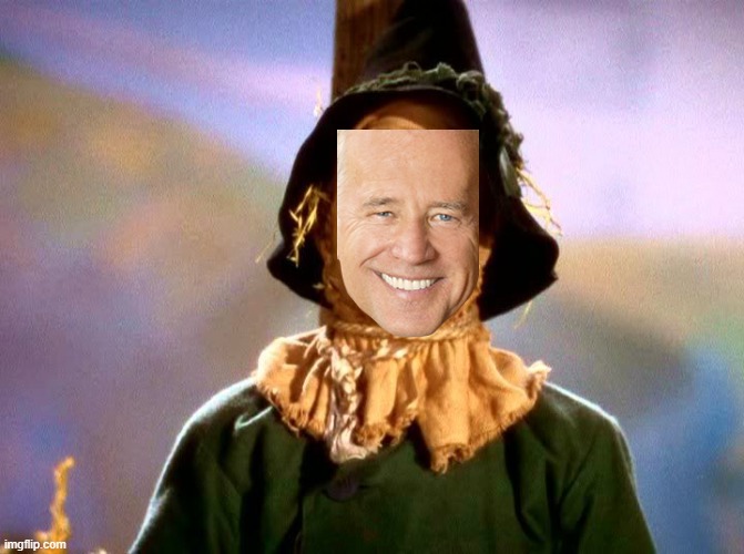 Wizard of Oz Scarecrow | image tagged in wizard of oz scarecrow | made w/ Imgflip meme maker
