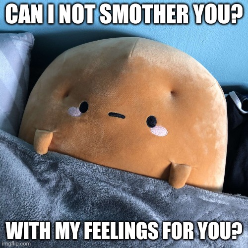 Damn Potato | CAN I NOT SMOTHER YOU? WITH MY FEELINGS FOR YOU? | image tagged in damn potato | made w/ Imgflip meme maker