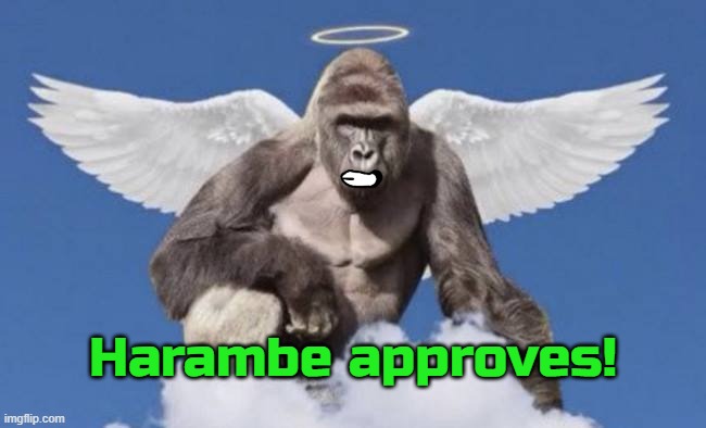 Harambe | Harambe approves! | image tagged in harambe | made w/ Imgflip meme maker