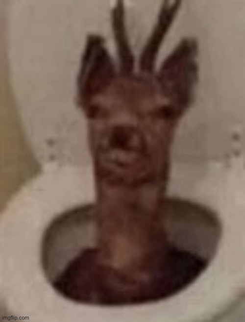 goofy ahh deer | image tagged in goofy ahh deer | made w/ Imgflip meme maker